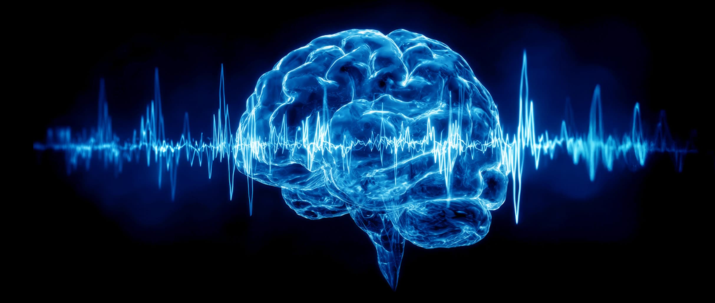 Hero Bild Study Academy